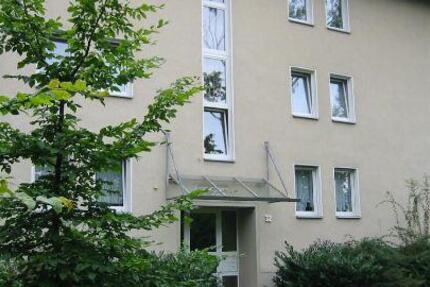 großzügige 3-Zimmer-Wohnung im Erdgeschoss eines gepflegten Hauses 3 zimmer