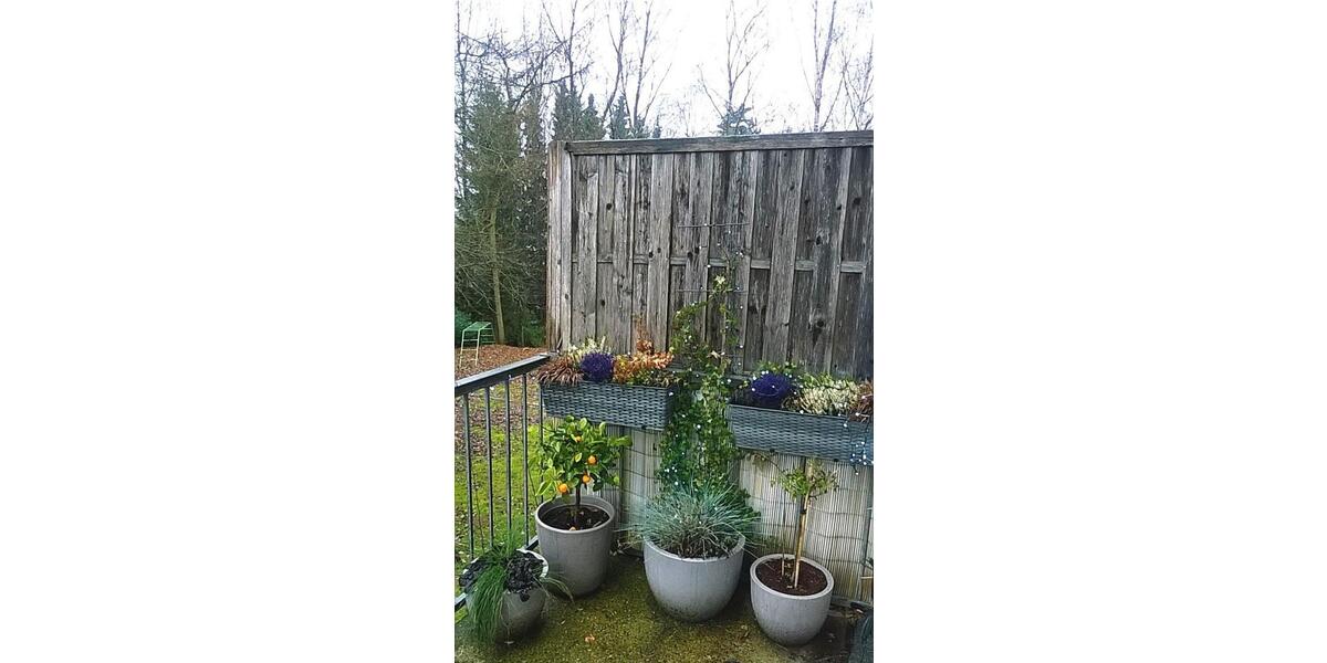 Erdgeschoßwohnung Meinerzhagen - 2 Zimmer, 60 m&sup2;, 390&euro; | Angebot:26550131