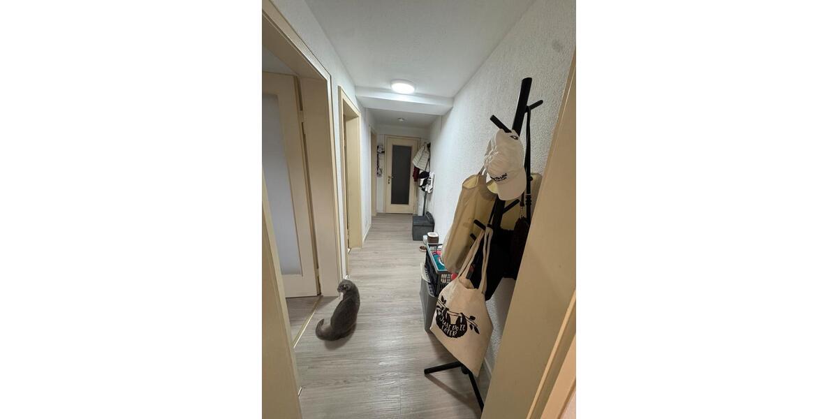 Gemütliche helle 2 Zimmer Wohnung in Schwieberdingen 2 zimmer