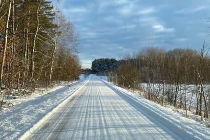 3-Raum-Whg. - 117 m2 im Grünen ...ab sofort frei. 3 zimmer