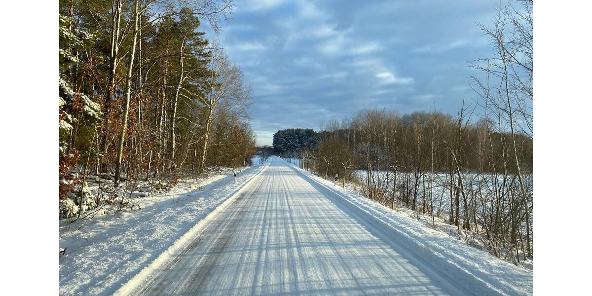 3-Raum-Whg. - 117 m2 im Grünen ...ab sofort frei. 3 zimmer
