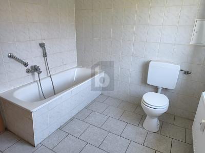 VIEL PLATZ & RUHE MIT GRÜNEM INNENHOF - Etagenwohnung Greppin Greppin | Angebot:26749774
