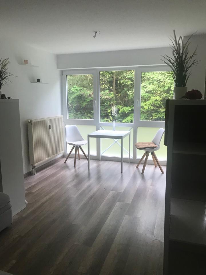 1 Zimmer Appartement am Schmelzteich Bad Sachsa zimmer