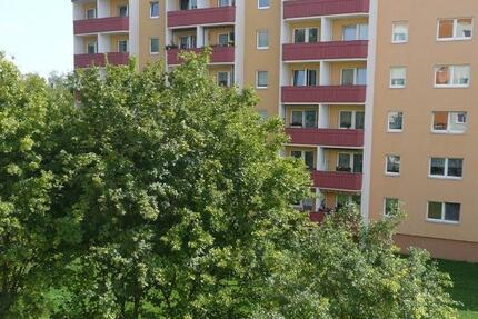 Wohnung Limbach-Oberfrohna Oberfrohna - 2 Zimmer, 55 m&sup2;, 270&euro; | Angebot:26295085