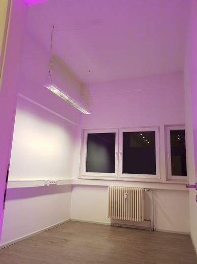 Gewerbeobjekt Müllheim - 1.550&euro; | Angebot:25821388