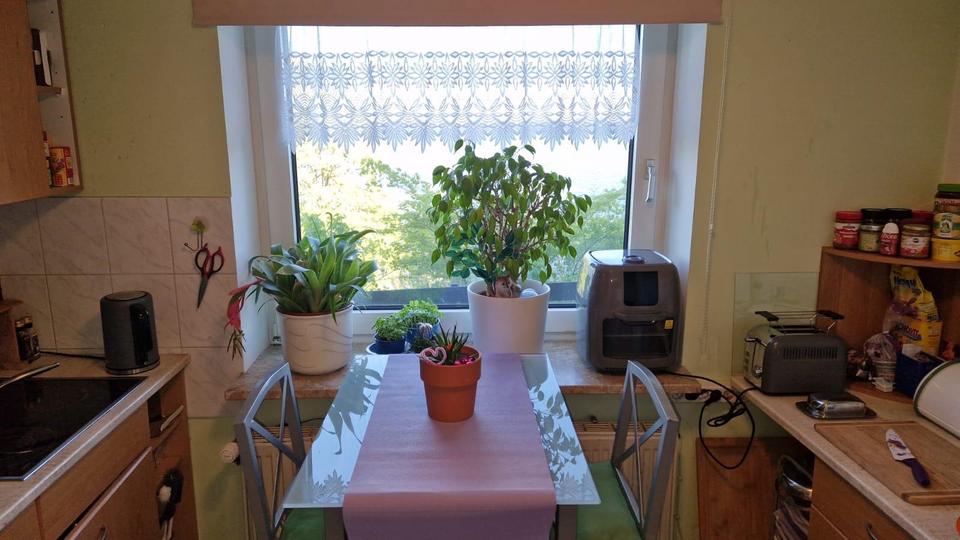 Erdgeschoßwohnung Ascheberg (Holstein) - 2 Zimmer, 65 m&sup2;, 900&euro; | Angebot:26431409