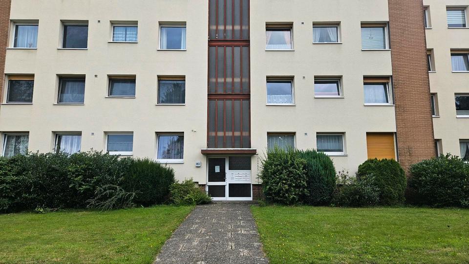3 Zimmer Wohnung zu vermieten, in Belm , frisch renoviert, ab 1.8