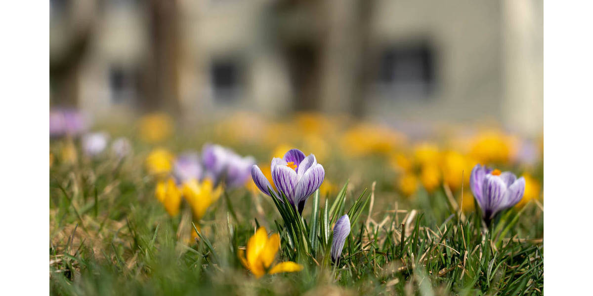 Etagenwohnung Wiesbaden Dotzheim - 3 Zimmer, 80 m&sup2;, 839&euro; | Angebot:26081935