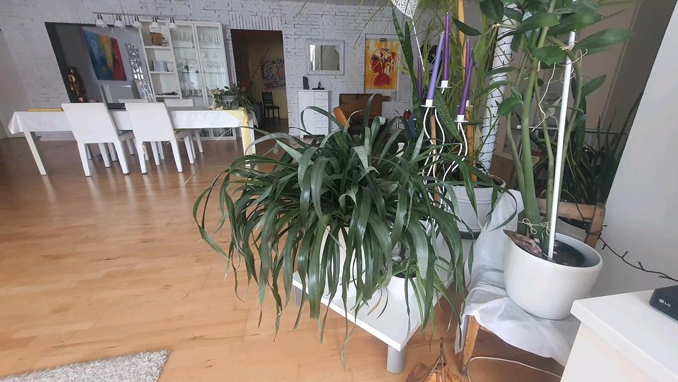 Erdgeschoßwohnung Uslar - 4 Zimmer, 240 m&sup2;, 1.100&euro; | Angebot:26019383