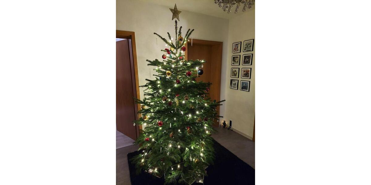 Dachgeschoßwohnung Hattingen Blankenstein - 4 Zimmer, 82 m&sup2;, 620&euro; | Angebot:24391226