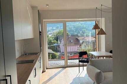 Wohnung Falkenstein - 1 Zimmer, 37 m&sup2;, 550&euro; | Angebot:26347027