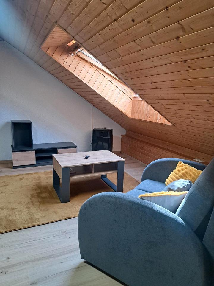 1 Zimmer-DG-Apartment, klimatisiert, neu renoviert, vollmöbliert,