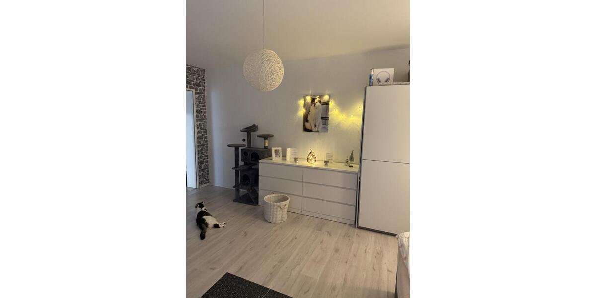Etagenwohnung Krefeld - 1 Zimmer, 42 m&sup2;, 450&euro; | Angebot:24947579
