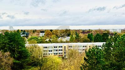 FIRMEN DOMIZIL OBERHALB DER BAUMKRONEN 5 zimmer