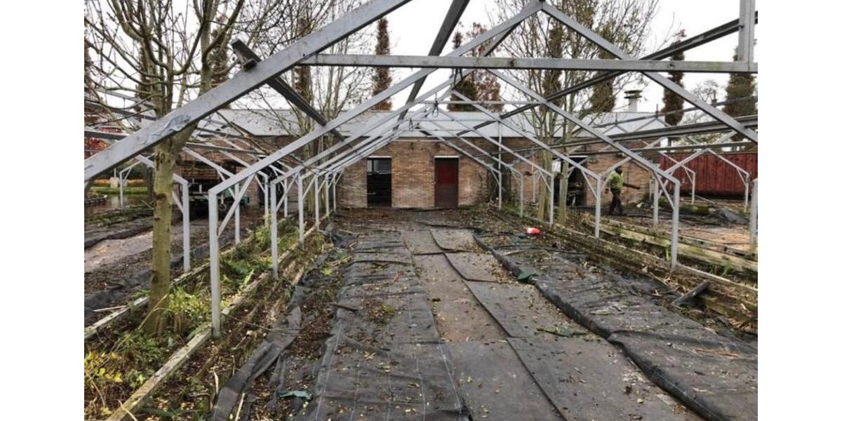 Gewerbeobjekt Hemmoor - 4.900&euro; | Angebot:19919816