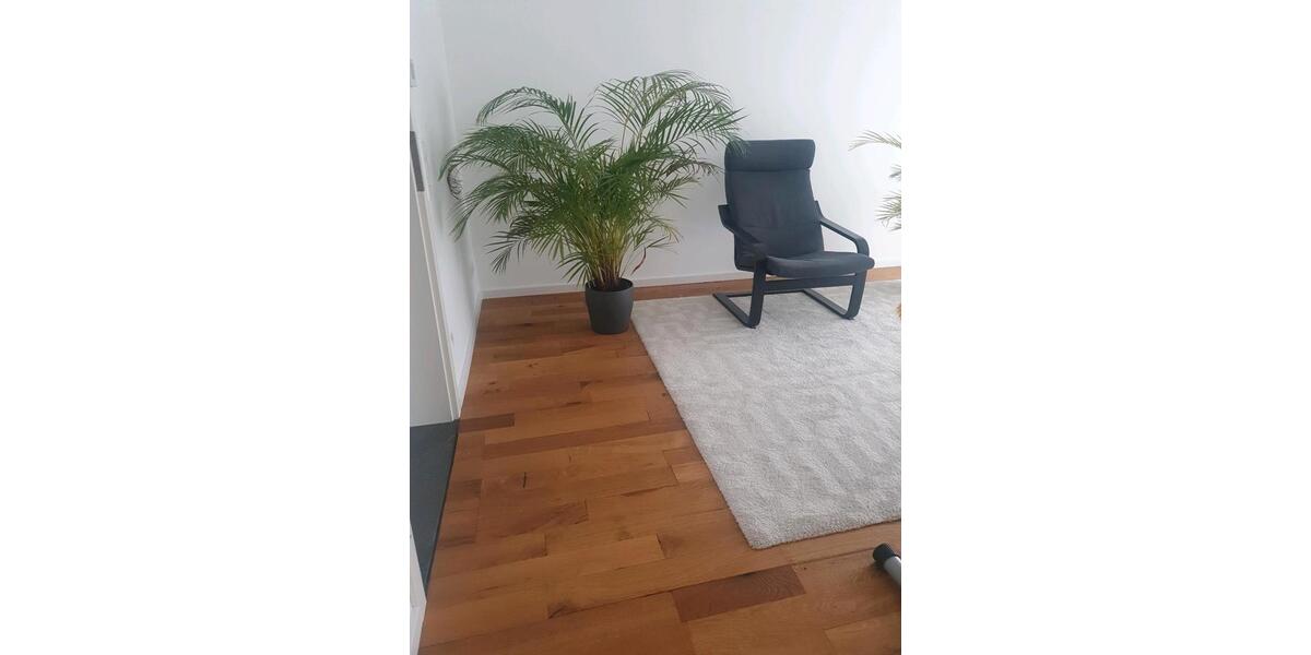 Wohnen auf Zeit Ludwigsburg Eglosheim - 1 Zimmer, 20 m&sup2;, 600&euro; | Angebot:24856908