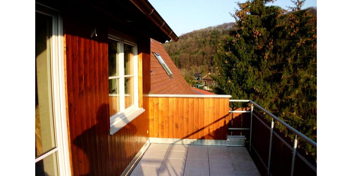 Dachgeschoßwohnung Horb am Neckar - 1 Zimmer, 46 m&sup2;, 380&euro; | Angebot:24876912