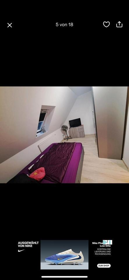 2-Zimmer Wohnung, 58 qm, neu renoviert