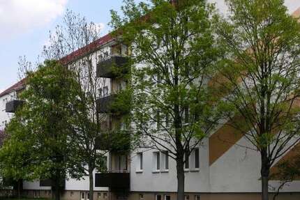 Wohnung Finsterwalde - 3.5 Zimmer, 76 m&sup2;, 425&euro; | Angebot:26145328