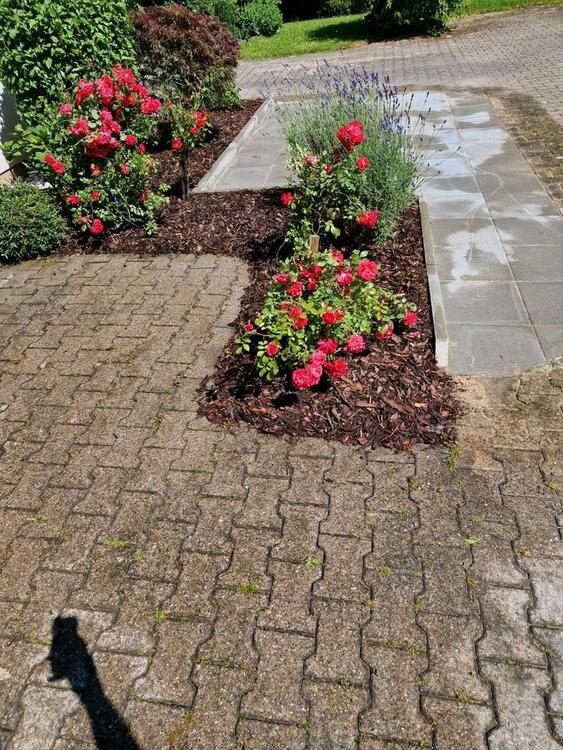 Haus als WG zu vermieten, oder Firmen Unterkunft zimmer