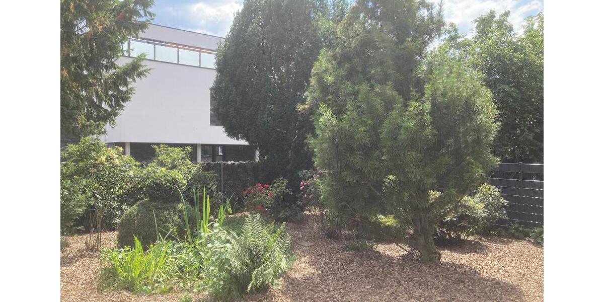 Erdgeschoßwohnung Diepholz - 2 Zimmer, 65 m&sup2;, 580&euro; | Angebot:26550570
