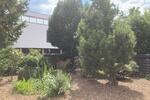 Erdgeschoßwohnung Diepholz - 2 Zimmer, 65 m&sup2;, 580&euro; | Angebot:26550570