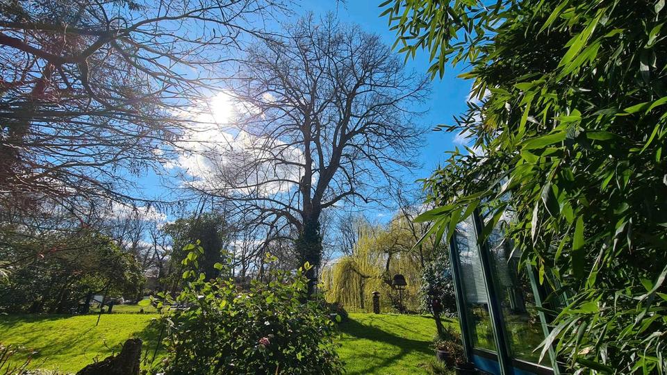 Einfamilienhaus Wildeshausen - 2 Zimmer, 83 m&sup2;, 1.450&euro; | Angebot:24640320