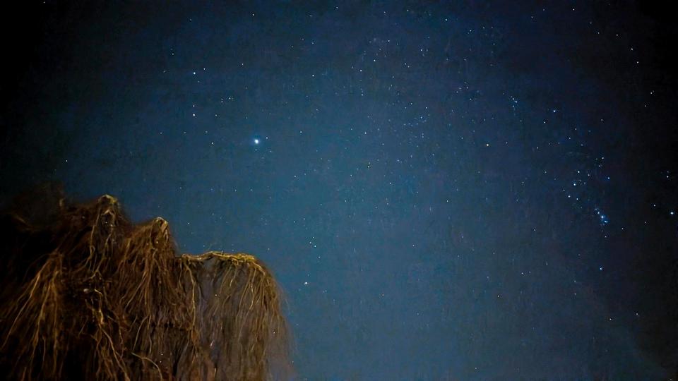 Zwei WG Zimmer ab sofort zu vermieten 5 zimmer