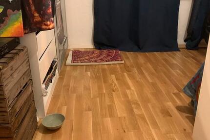 Wohnung Berlin Pankow - 1 Zimmer, 16 m&sup2;, 420&euro; | Angebot:26335403