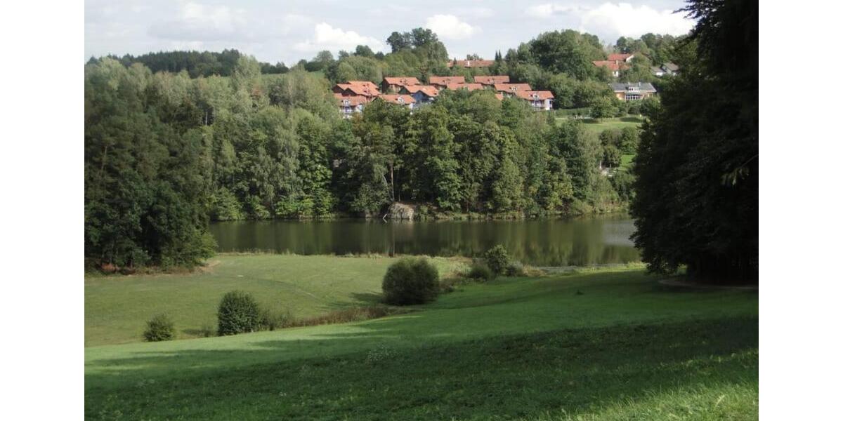 Etagenwohnung Rötz - 1 Zimmer, 32 m&sup2;, 350&euro; | Angebot:25022757