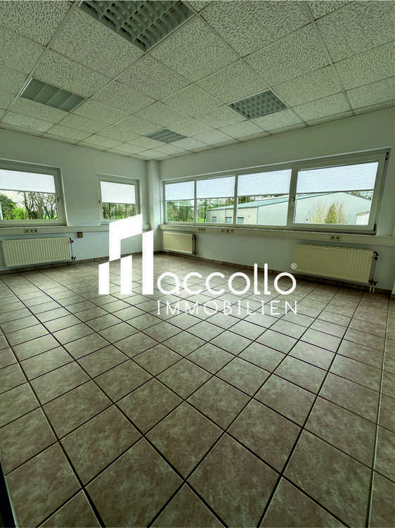 Büro in Willich 560 € 65 m² zimmer