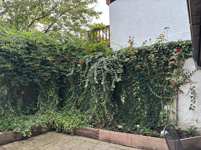 Erdgeschoßwohnung Kößlarn - 2 Zimmer, 50 m&sup2;, 420&euro; | Angebot:26018665