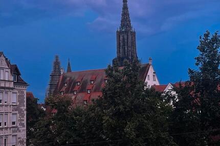 WG-Zimmer in zentraler Lage Ulm – Miete 01.01.2026 1 zimmer