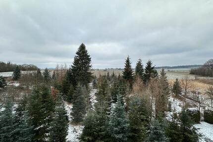 Wohnung mit Blick ins Grüne 85 qm 2 Zimmer u. großes Wohnzimmer 3 zimmer