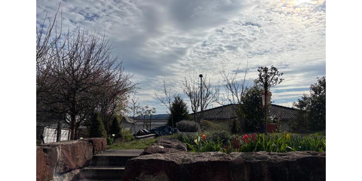 Etagenwohnung Wildberg - 3 Zimmer, 100 m&sup2;, 1.150&euro; | Angebot:26248953