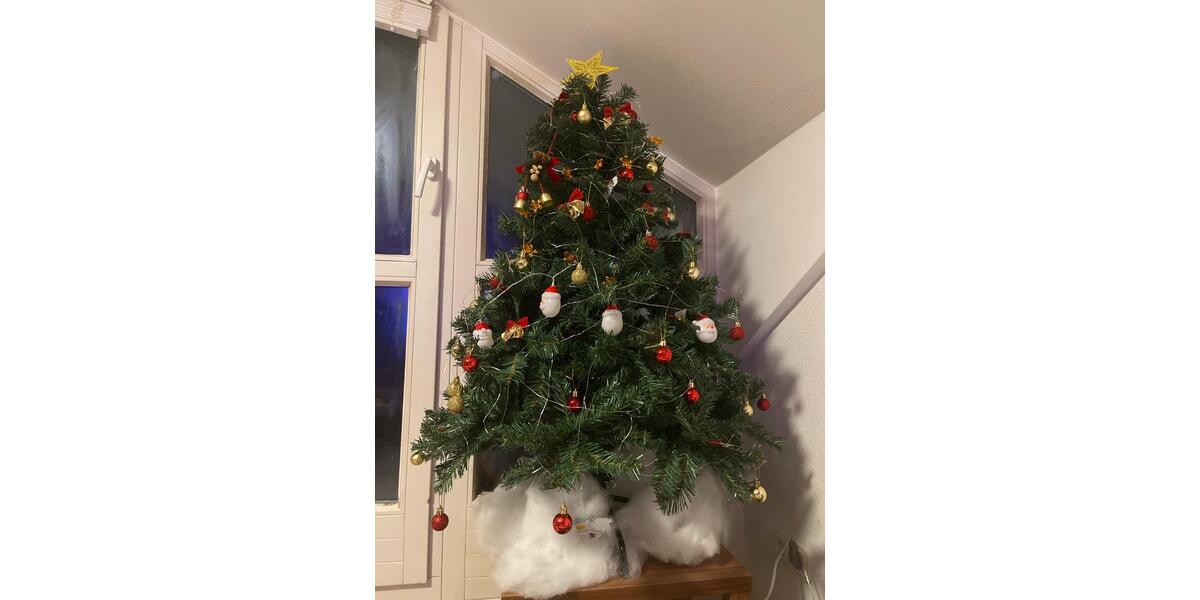 Dachgeschoßwohnung Gröbenzell - 4 Zimmer, 50 m&sup2;, 600&euro; | Angebot:24385038