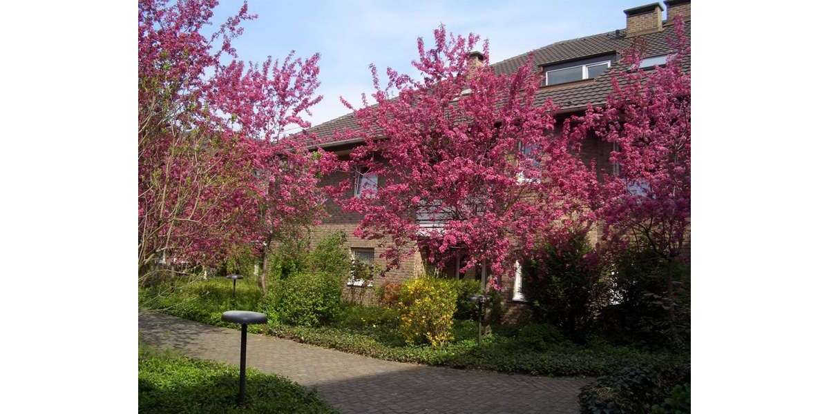 Etagenwohnung Bonn Tannenbusch - 1 Zimmer, 47 m&sup2;, 445&euro; | Angebot:26738444