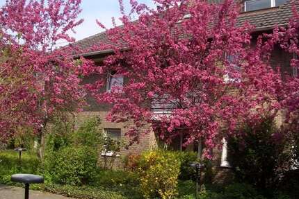 Wohnung Bonn Tannenbusch - 1 Zimmer, 47 m&sup2;, 445&euro; | Angebot:26738444