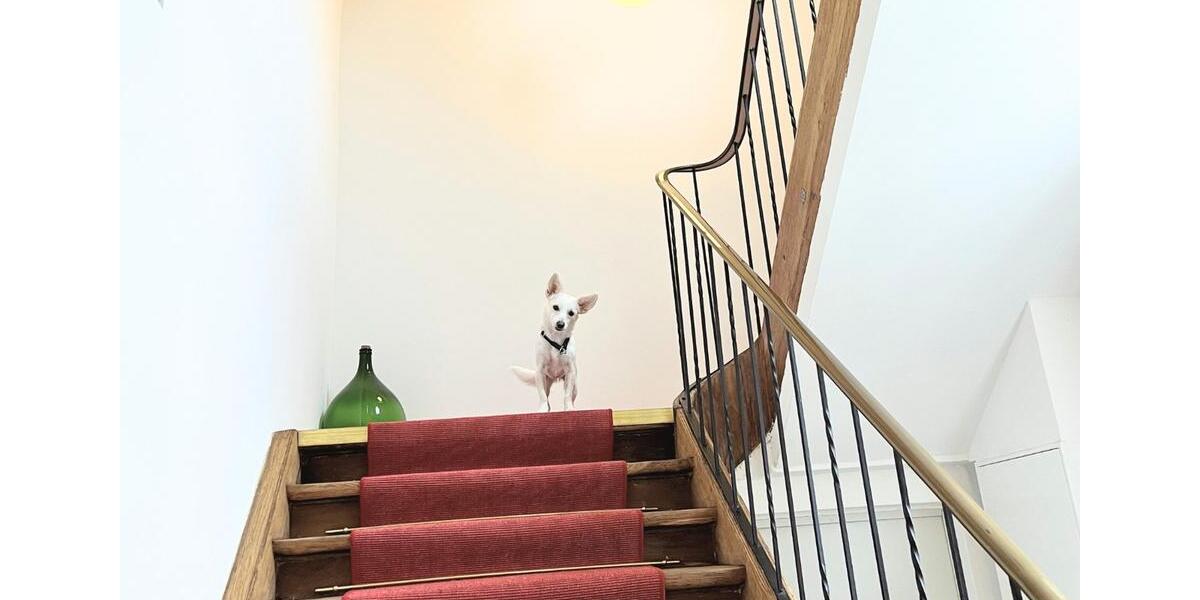 Etagenwohnung Hechingen - 1 Zimmer, 40 m&sup2;, 800&euro; | Angebot:25872024