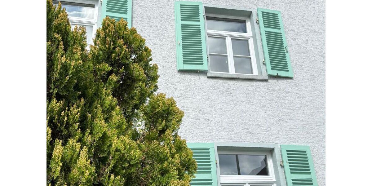 Mehrfamilienhaus oder für 1 Familie: Stilaltbau-Villa komplett-saniert mit Garten, Hof und Stall - Einfamilienhaus Pfungstadt | Angebot:25908488