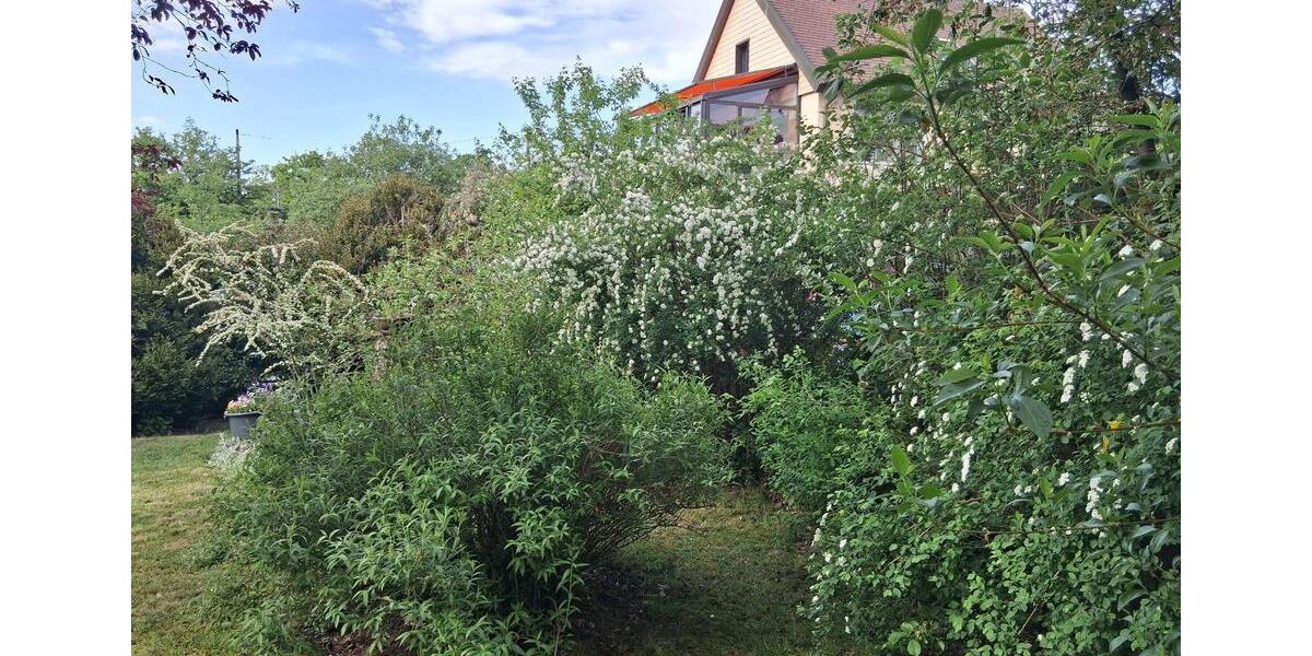 Wohnen auf Zeit Nürnberg Erlenstegen - 2.5 Zimmer, 61 m&sup2;, 700&euro; | Angebot:24755122