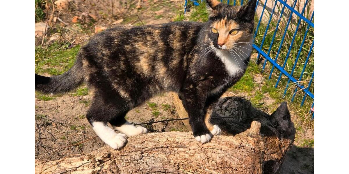 Wohnen auf Zeit Burg - 1 Zimmer, 45 m&sup2;, 58&euro; | Angebot:24747382