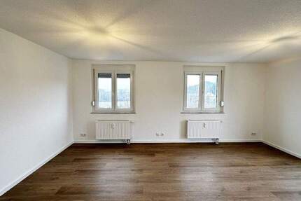 Wohnung Singen (Hohentwiel) Singen - 2 Zimmer, 48 m&sup2;, 540&euro; | Angebot:25139731