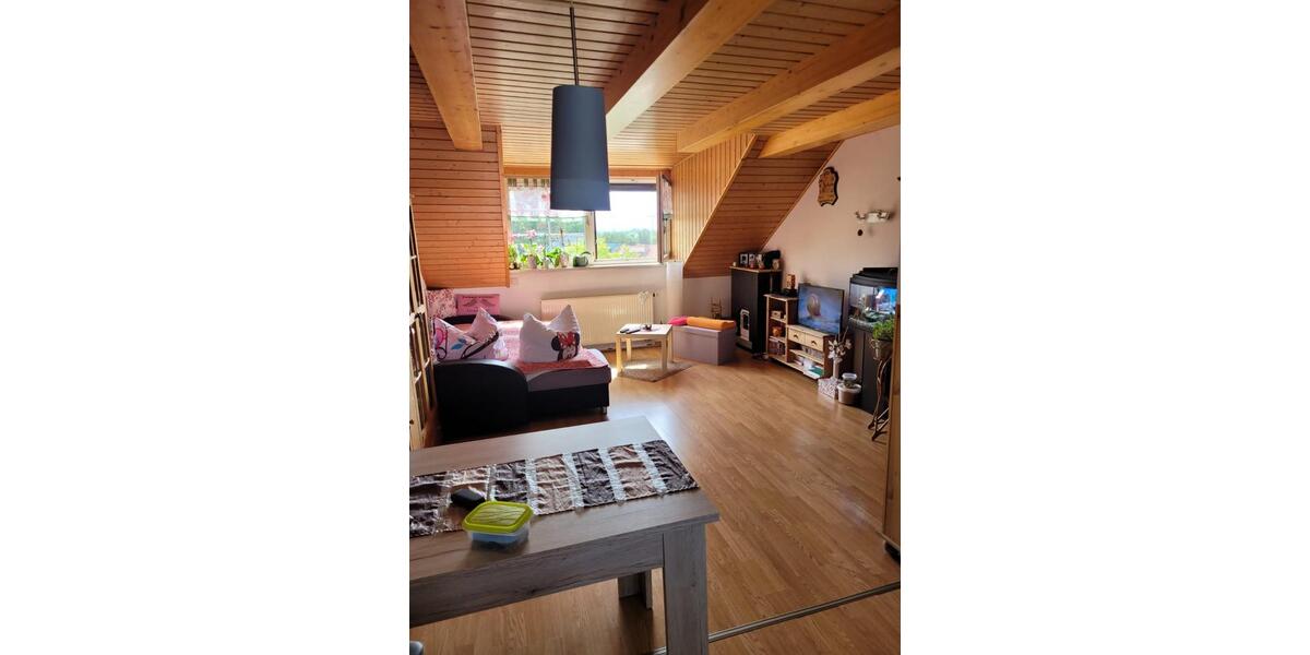 Dachgeschoßwohnung Radebeul - 2 Zimmer, 45 m&sup2;, 800&euro; | Angebot:25613081