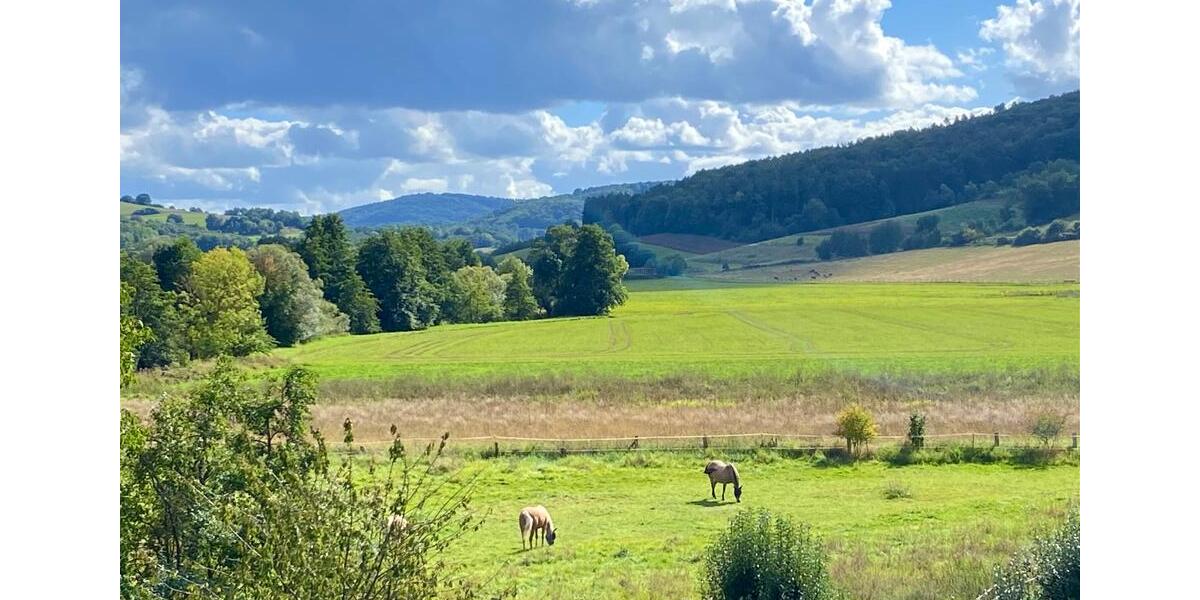 Panoramawohnung in Wehretal 4 zimmer