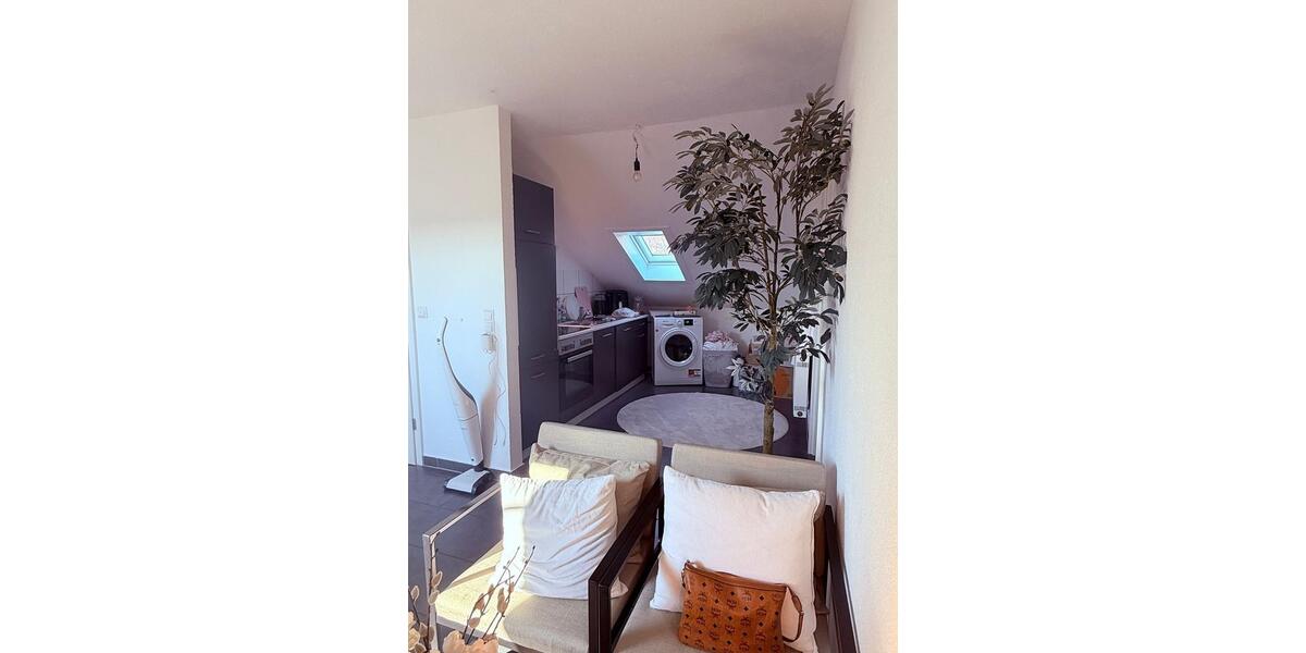 Dachgeschoßwohnung Schwaigern - 2 Zimmer, 55 m&sup2;, 780&euro; | Angebot:26022424