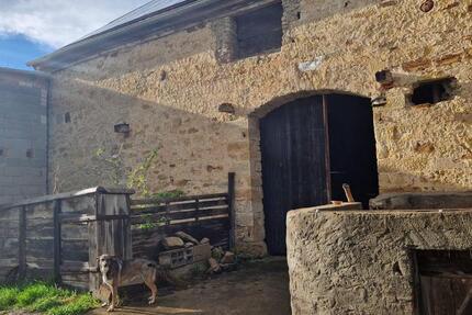 Wohnen mit Bauernhofflair – 3,5-Zimmer, Haustiere erwünscht 3 zimmer