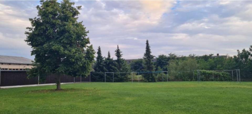 Etagenwohnung Oranienbaum-Wörlitz Wörlitz - 2 Zimmer, 64 m&sup2;, 325&euro; | Angebot:25963974