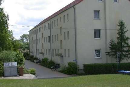 Wohnung zum Mieten in Dommitzsch 331 € 68.3 m² 4 zimmer