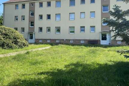 Wohnung Niederstriegis Niederstriegis - 2 Zimmer, 49 m&sup2;, 199&euro; | Angebot:24976484